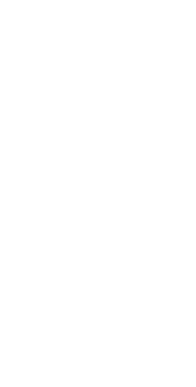 HolyDuck_Duck6_660x1300px