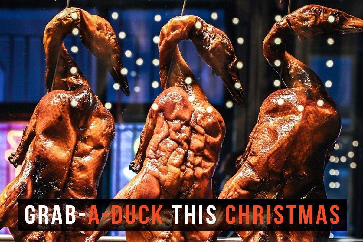 Preorder your Holy Duck! for Christmas
