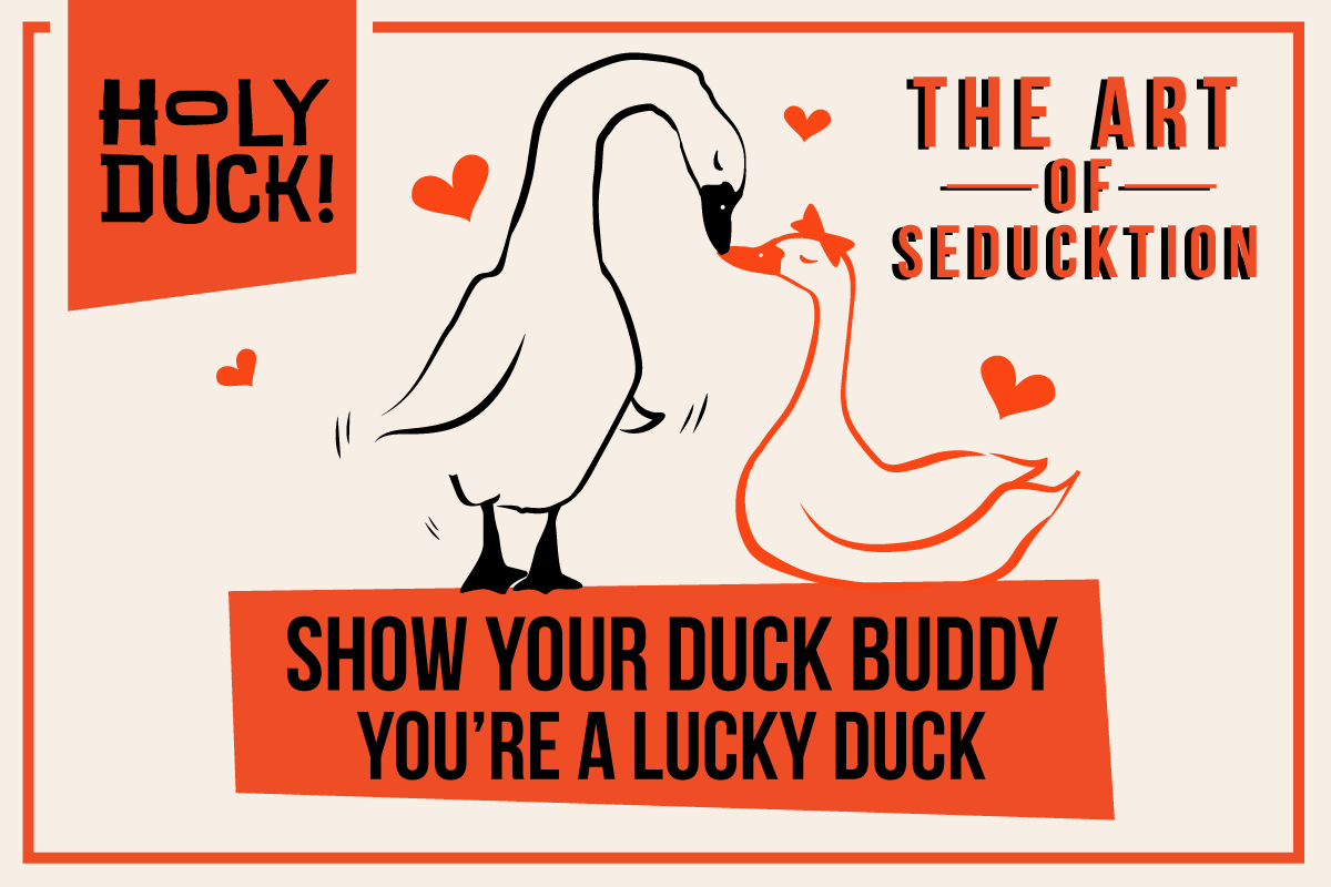 Valentines Day at Holy Duck